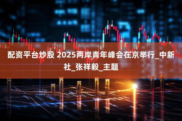 配资平台炒股 2025两岸青年峰会在京举行_中新社_张祥毅_主题