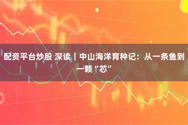 配资平台炒股 深读｜中山海洋育种记：从一条鱼到一颗“芯”